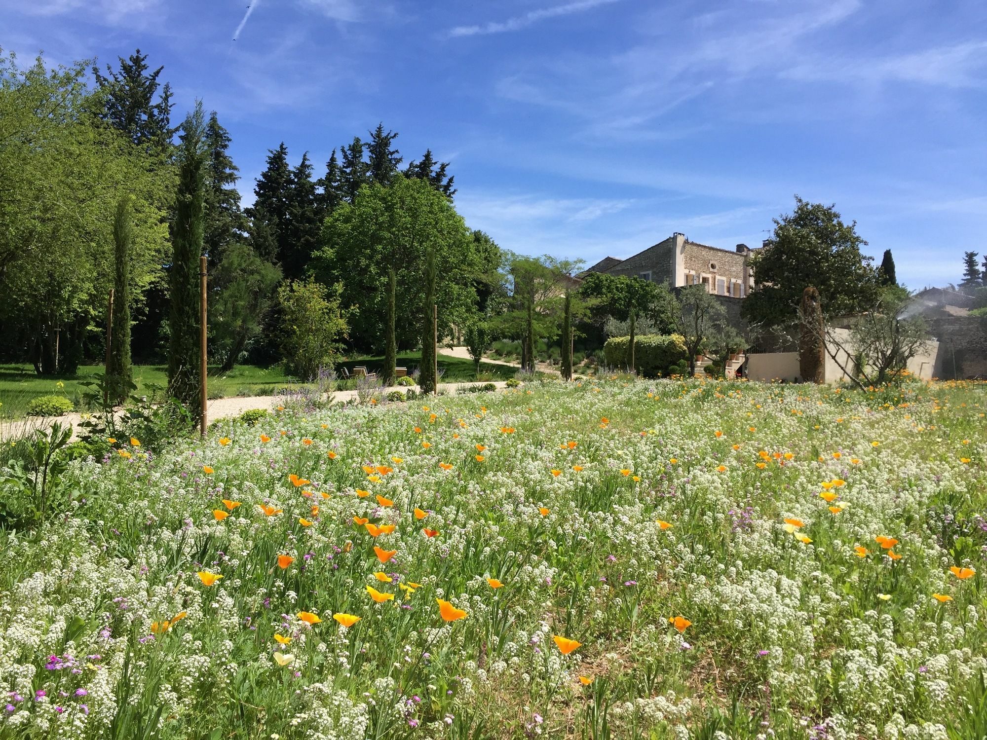 Domaine Les Martins - Gordes Hotel Eksteriør billede